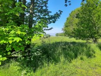 /album/winter-in-wervershoof-2020-21/nunspeet-14-jpg/